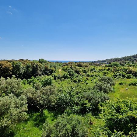 Villa Mareonda Rovinj Dış mekan fotoğraf