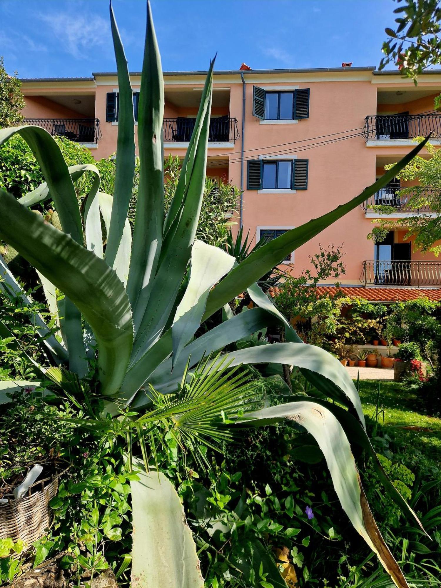 Villa Mareonda Rovinj Dış mekan fotoğraf