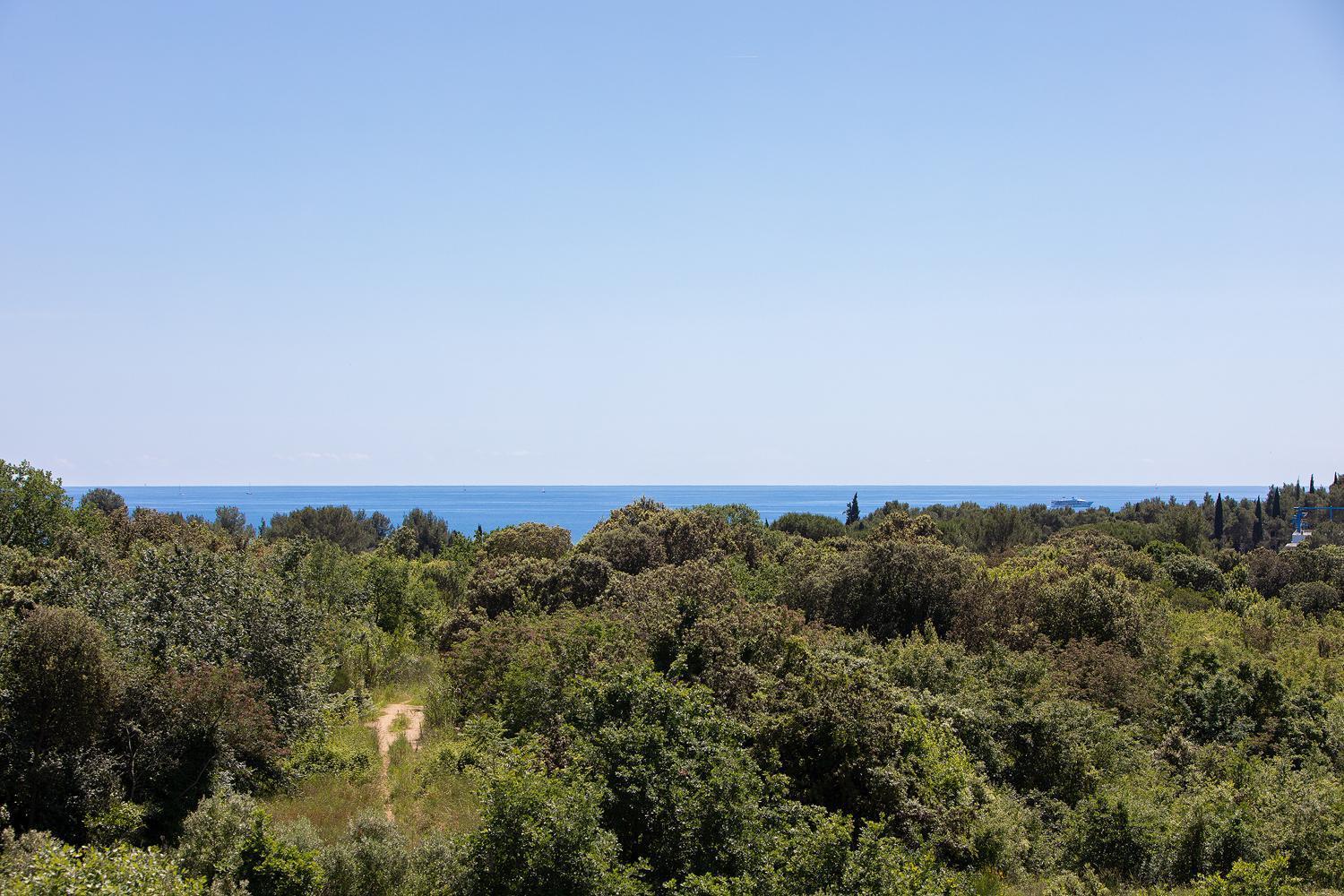 Villa Mareonda Rovinj Dış mekan fotoğraf