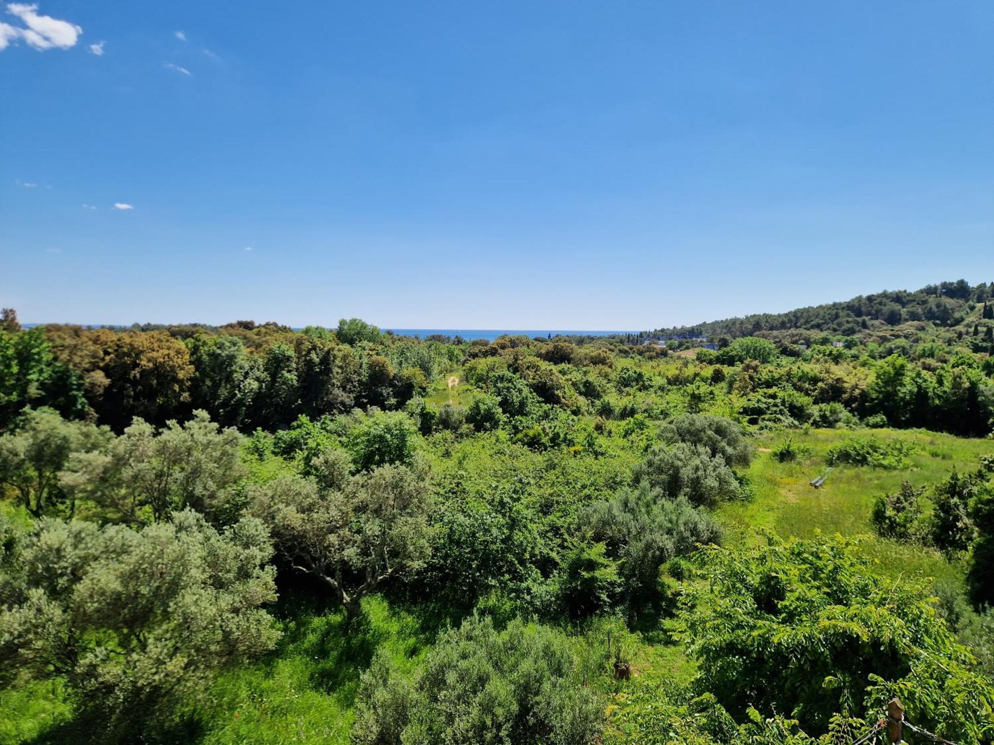 Villa Mareonda Rovinj Dış mekan fotoğraf